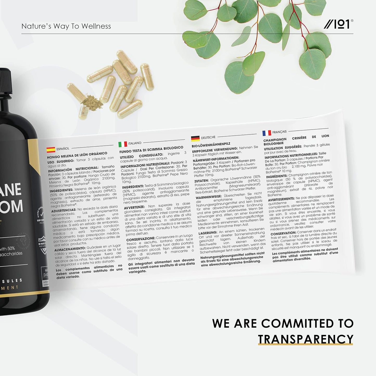 Organic Lions Mane Supplement 28,000Mg – 50% Polysaccharide