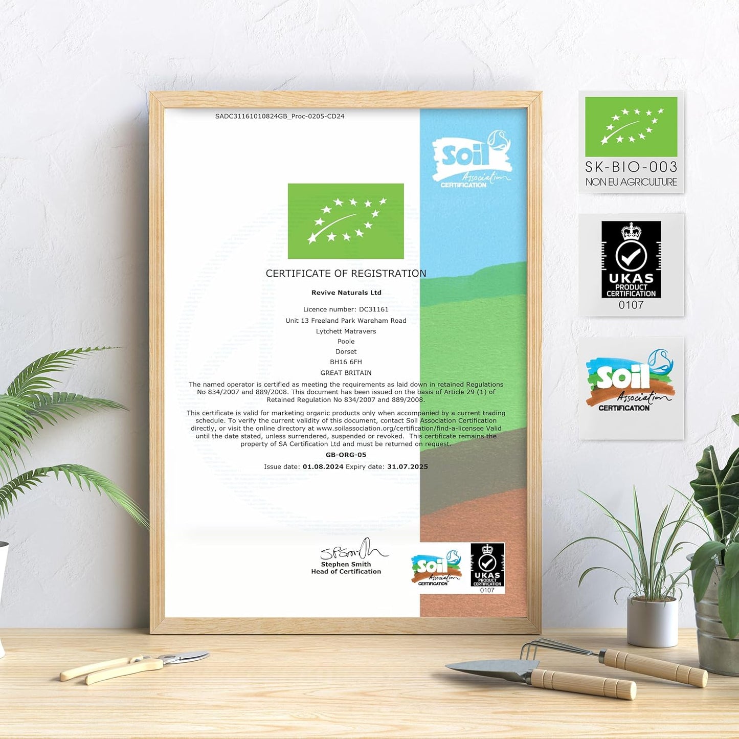 Organic Matcha Green Tea Extract 1360Mg - 90 Vegan Capsules - Boosted with Turme