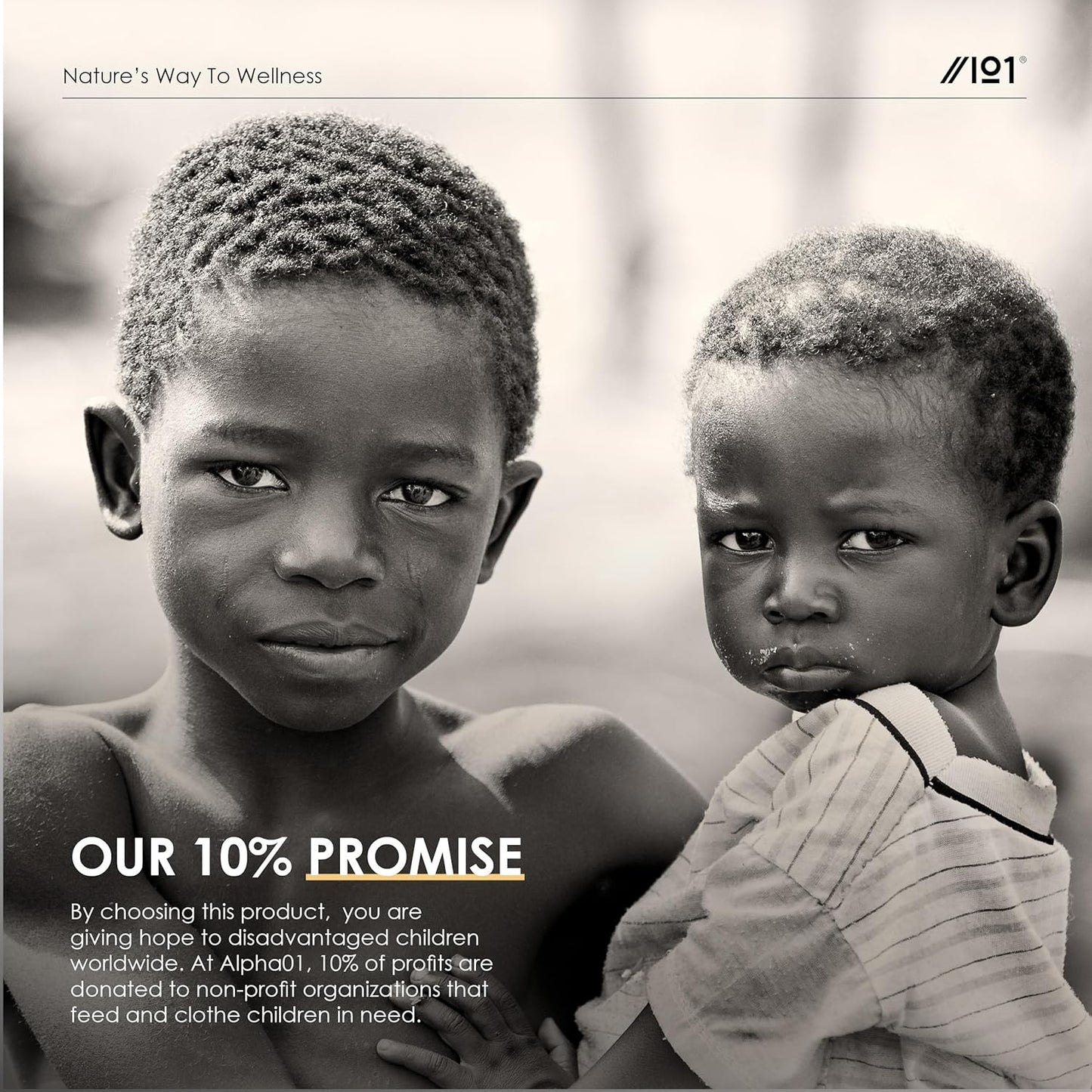 Organic Lions Mane Supplement 28,000Mg – 50% Polysaccharide