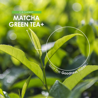 Organic Matcha Green Tea Extract 1360Mg - 90 Vegan Capsules - Boosted with Turme