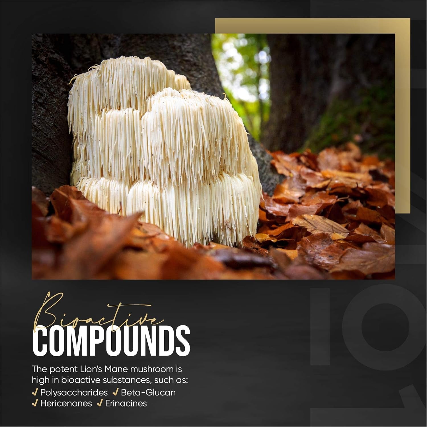 Organic Lions Mane Supplement 28,000Mg – 50% Polysaccharide