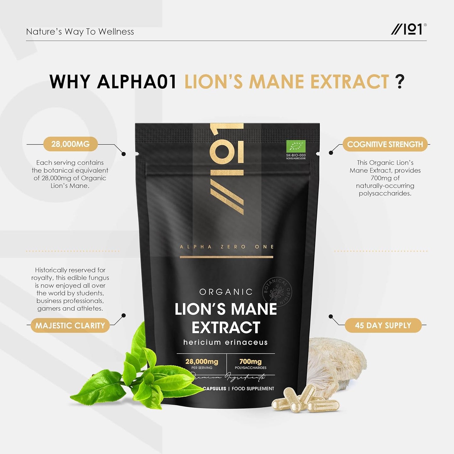 Organic Lions Mane Supplement 28,000Mg – 50% Polysaccharide